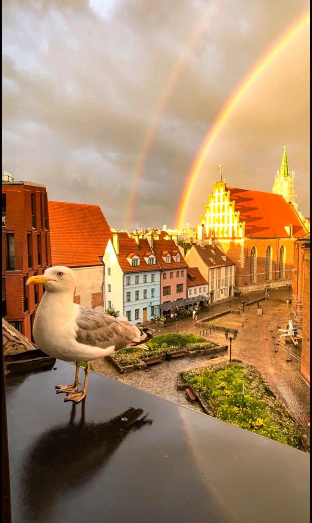 Old Town Retreat With Stunning Views 2 Bedroom Apartment Nearby The Church Of Saint Peter Riga Exterior foto